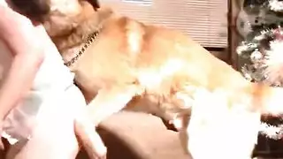 نيك مدام من طسظ