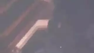 العضو التناسلي النسوي اللياقه البدنيه عيد الميلاد