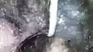 مشهد صريح: سمراء بالملابس الداخلية البيضاء والجوارب الوردية تمارس الجنس