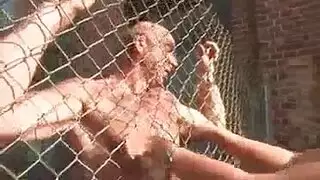 فتاة مثيرة تظهر كسها في ملابس داخلية مخططة